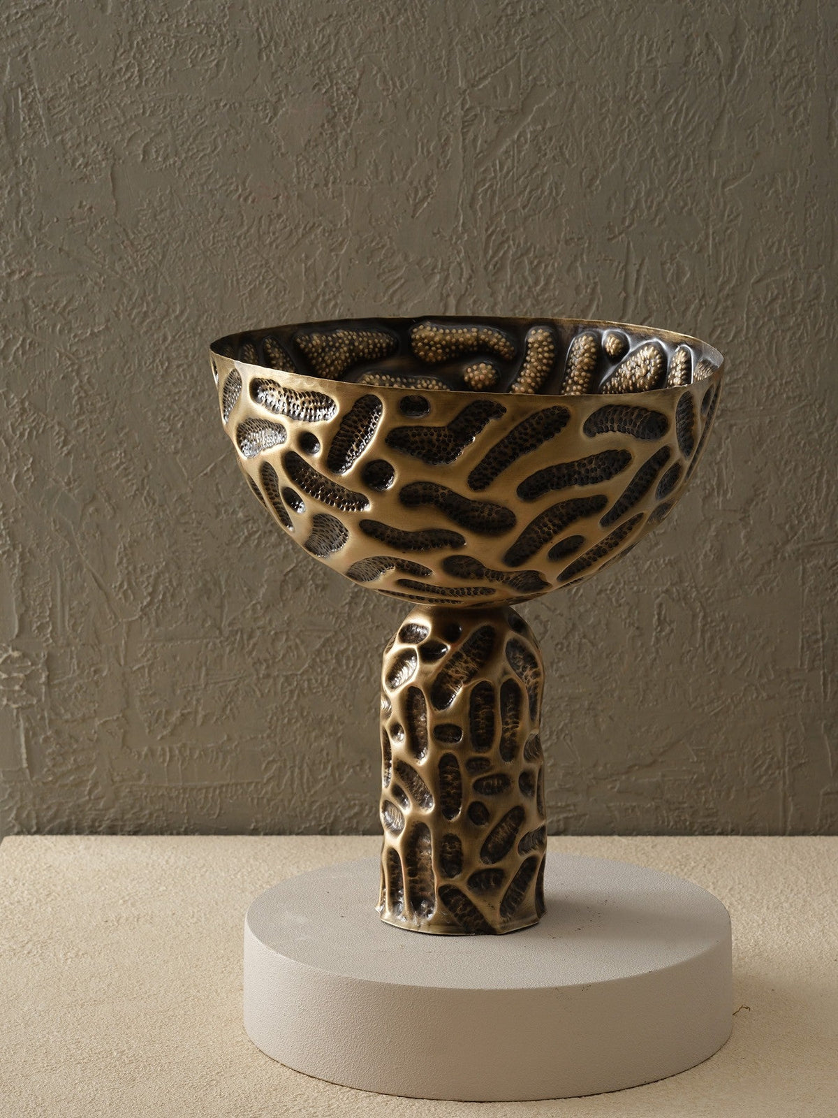 Bowl & Dish