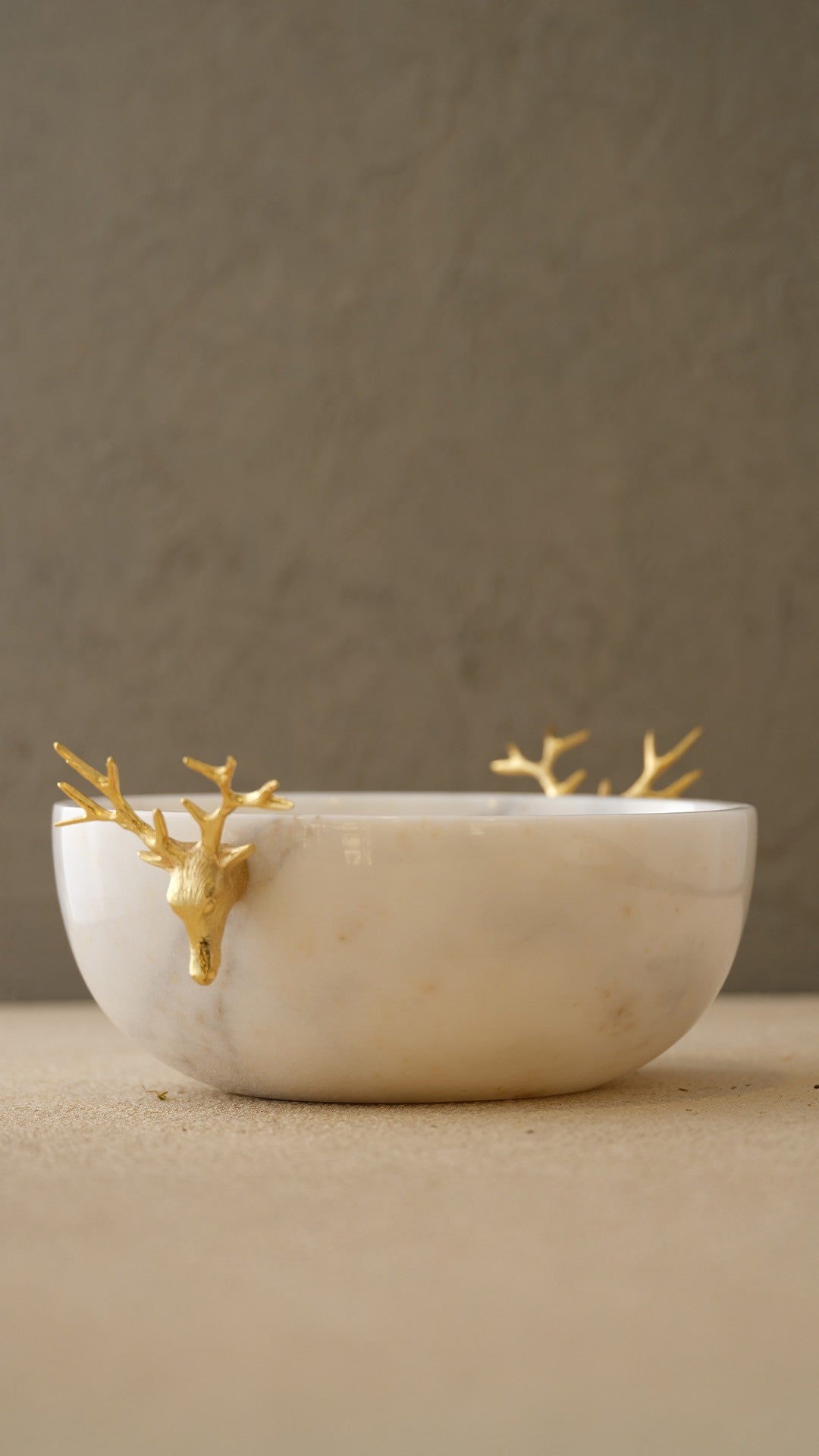 Bowl & Dish