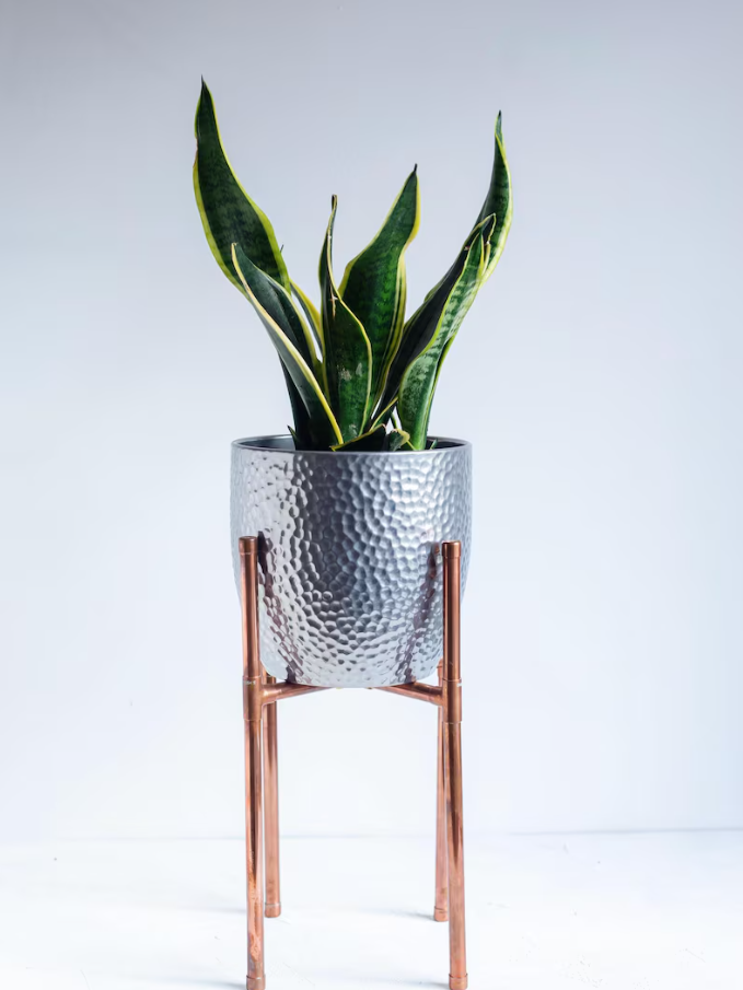 Handcrafted Pure Copper Flower Stand – Handmade Solid Copper Rustic Plant H – view 2
