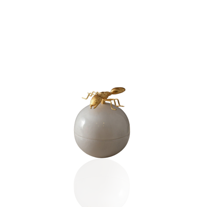 Ant Bonbonnière with Sculpted Brass Lid