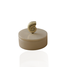 Nautilus Marble Box with Brass Shell Lid – Sculptural Marble Storage Box for Vanity