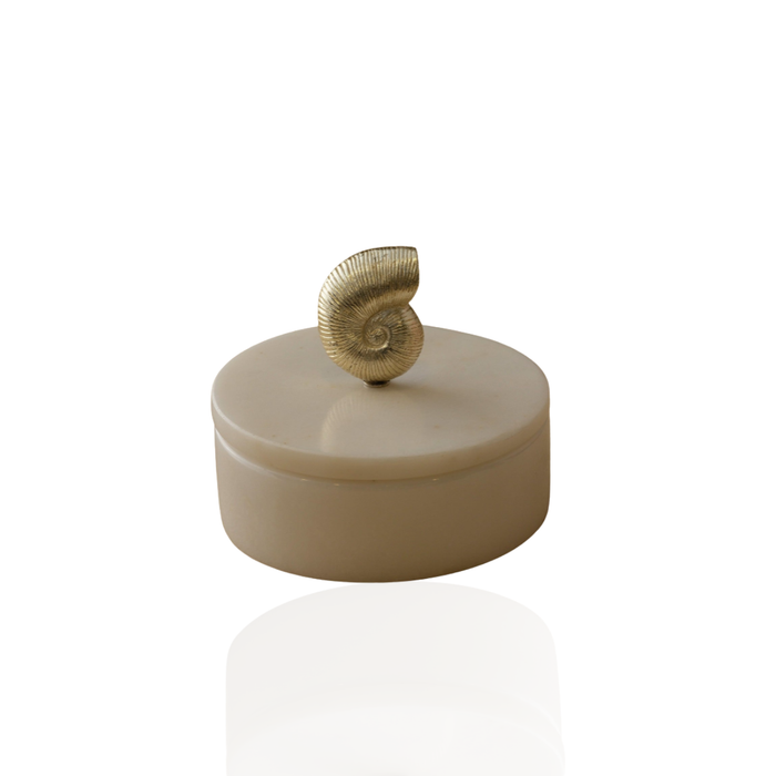 Nautilus Marble Box with Brass Shell Lid – Sculptural Marble Storage Box for Vanity