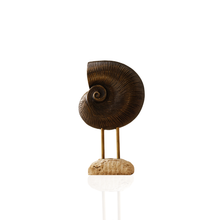 Bronze Nautilus Shell on Travertine Base
