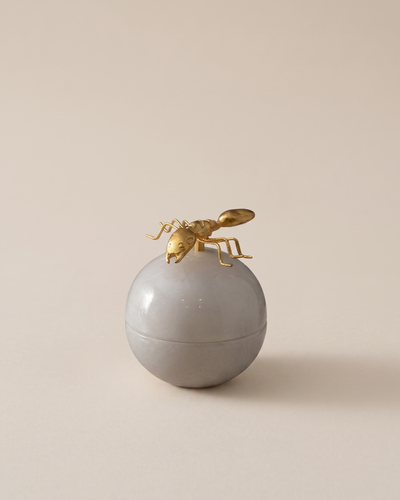 Ant Bonbonnière with Sculpted Brass Lid