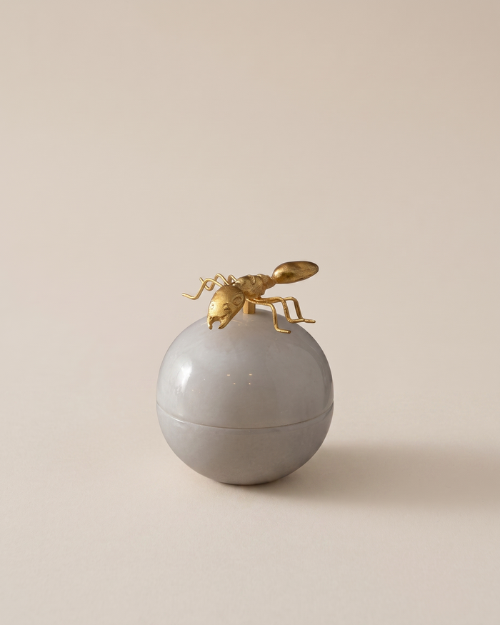 Ant Bonbonnière with Sculpted Brass Lid