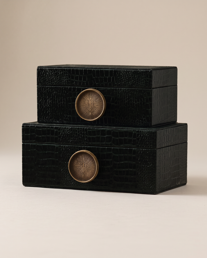 Leather Boxes with Brass Button (Set of 2)