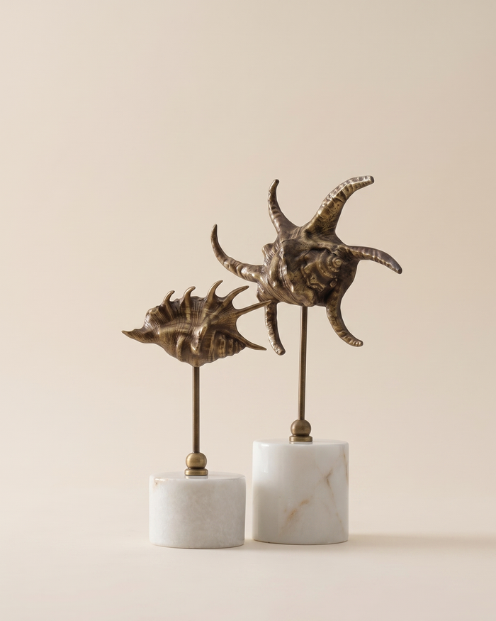 Brass Snail IV