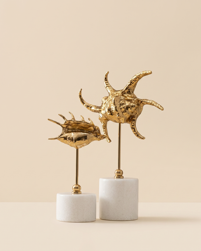 Brass Snail V