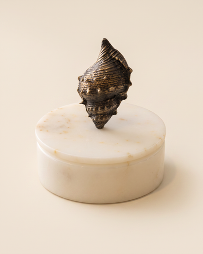 Conch Shell  Marble Box with Sculptural Brass Bronze  Shell Lid – Decorative Marble Trinket & Keepsake Box