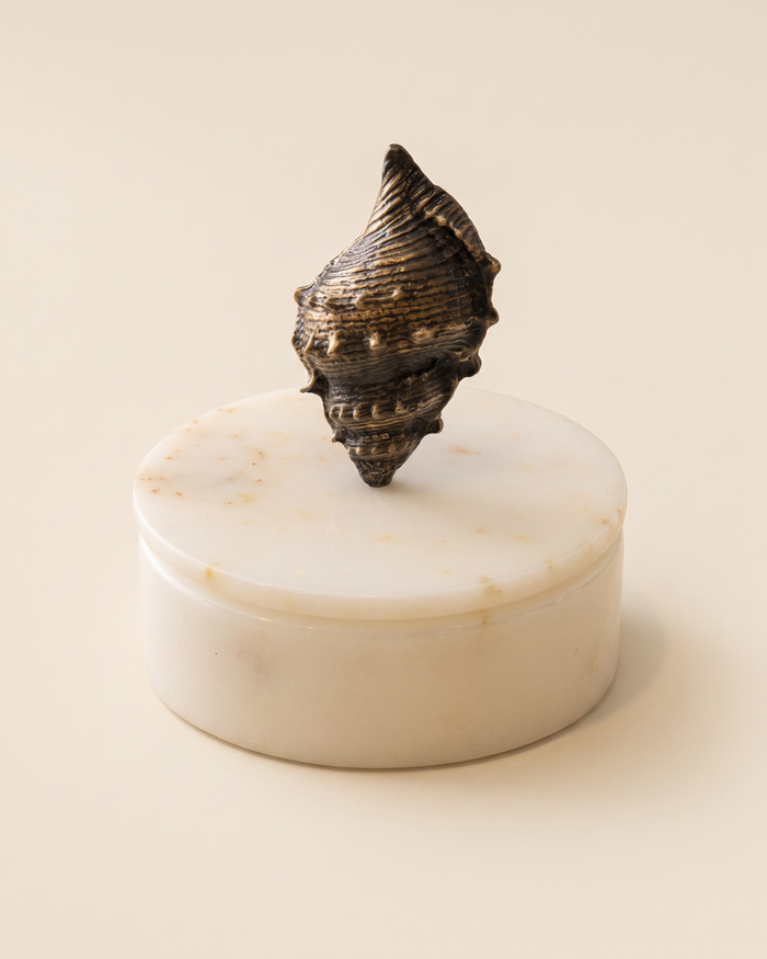 Conch Shell  Marble Box with Sculptural Brass Bronze  Shell Lid – Decorative Marble Trinket & Keepsake Box