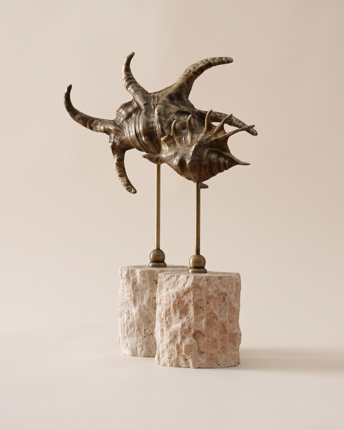 Brass Shell Sculptures on Travertine (Set of 2)