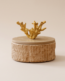 Ribbed Travertine Box with Brass Coral Handle (One Piece) on a warm ivory studio background