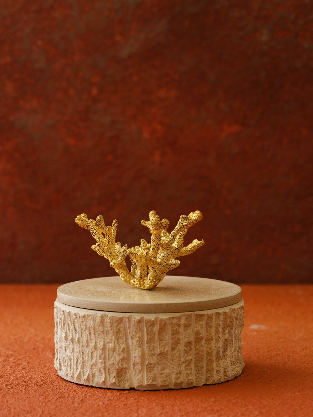 Handmade Travertine Storage Box with Brass Coral Handle, Ribbed Base - Alfiq's Store
