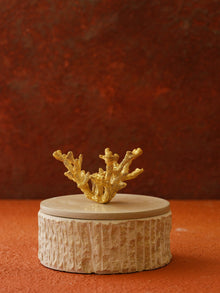 Handmade Travertine Storage Box with Brass Coral Handle, Ribbed Base - Alfiq's Store