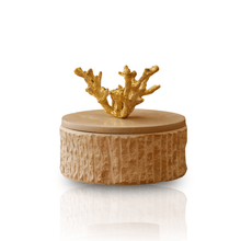 Handmade Travertine Storage Box with Brass Coral Handle, Ribbed Base - Alfiq's Store