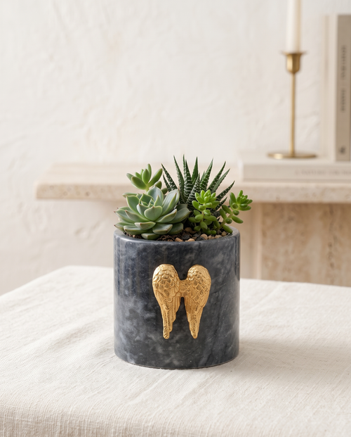 Angel Wing Succulent Pot in Dark Marble & Brass