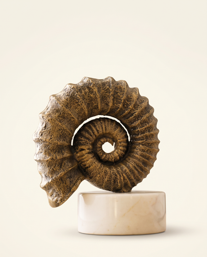 Bronze Textured Nautilus Shell Sculpture On White Marble Base