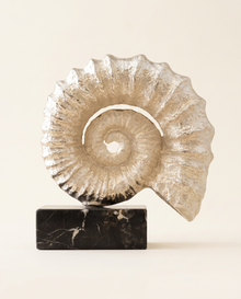 Silver Textured Nautilus Shell Sculpture On Black Marble Base
