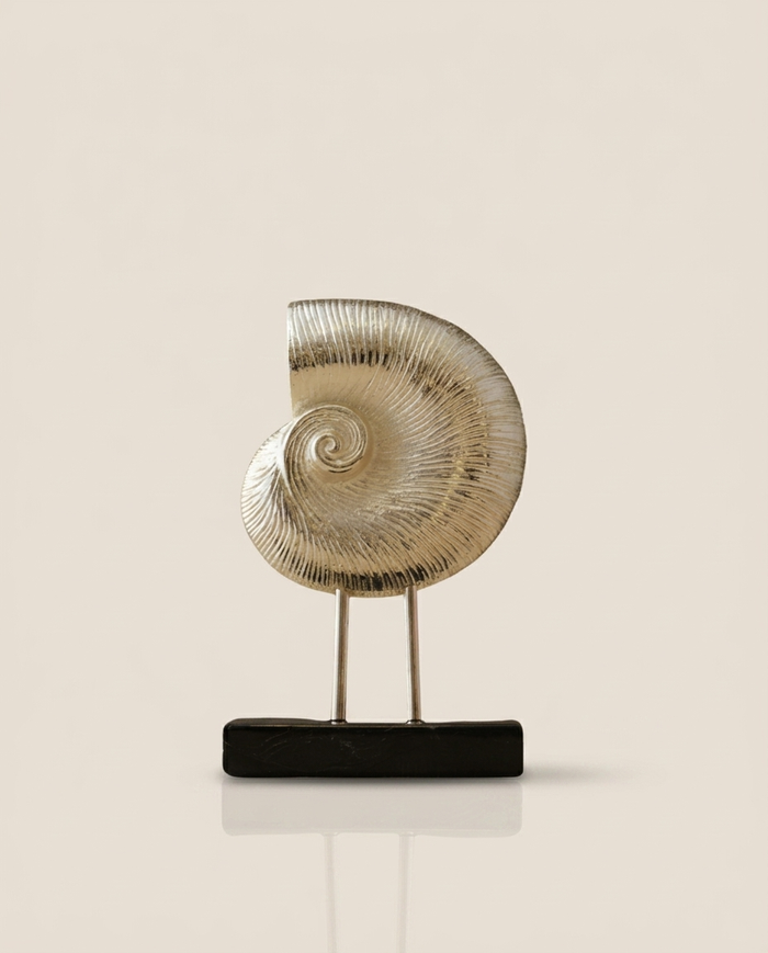 Silver Nautilus Shell Decor