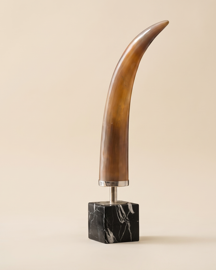 Horn Decorative Object