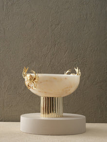 Bowl & Dish
