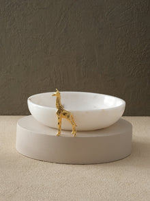 Bowl & Dish