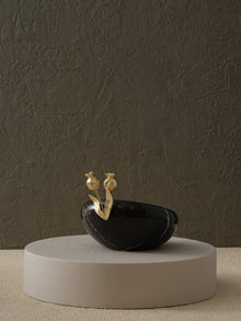 Bowl & Dish
