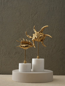 Decorative Object