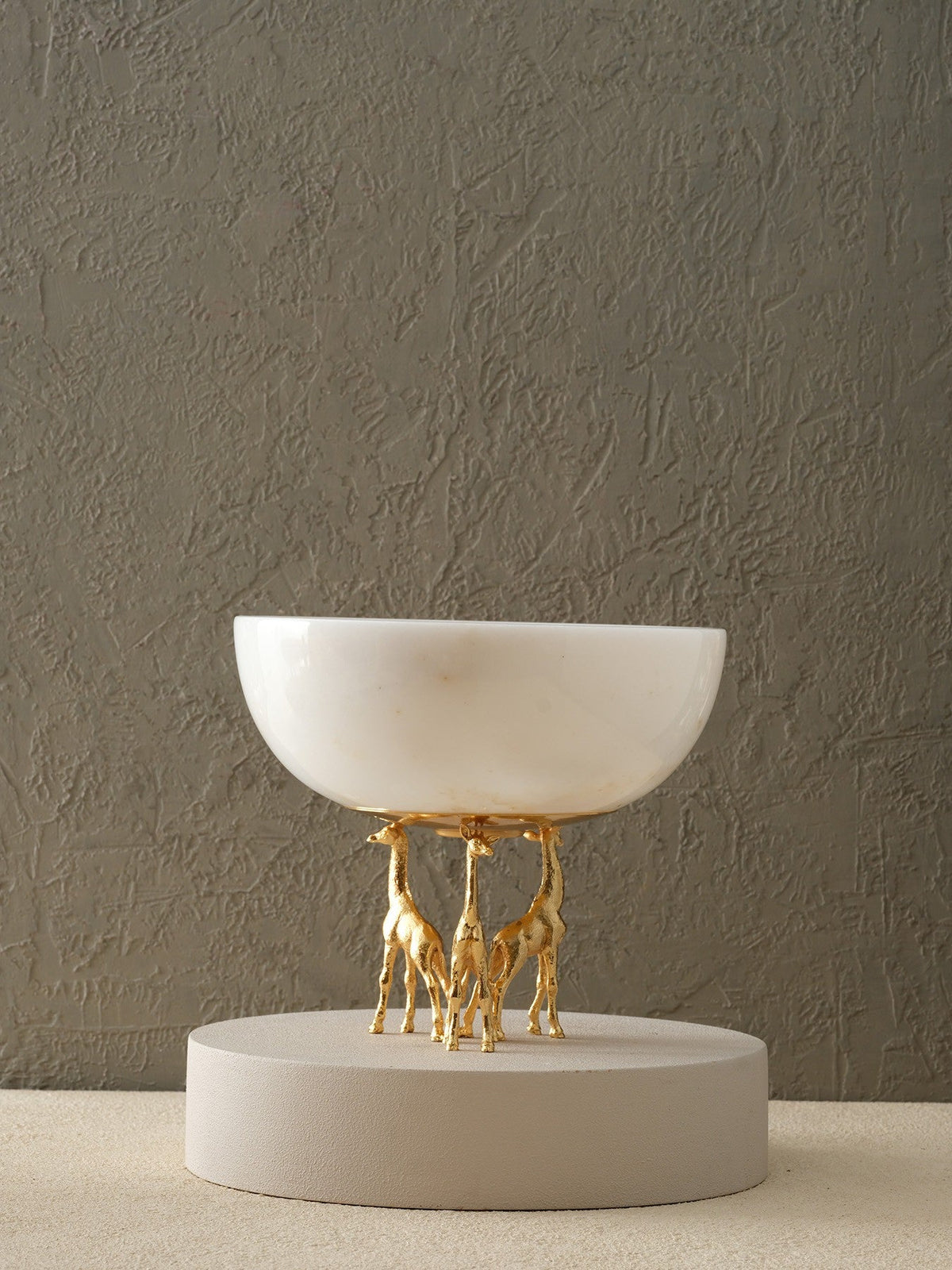 Bowl & Dish