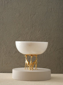Bowl & Dish