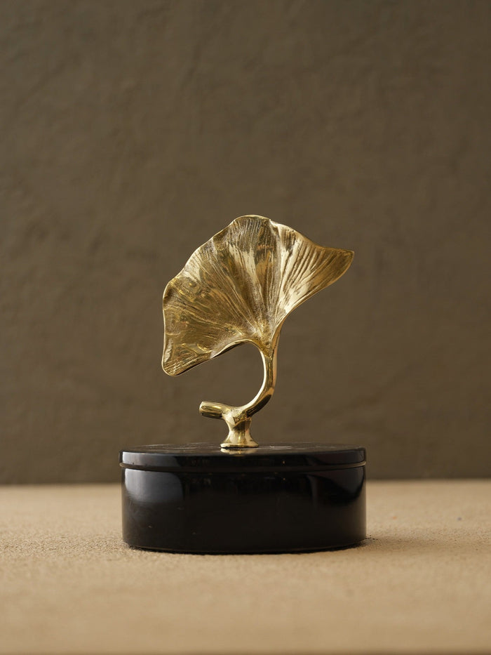 XL Brass Gynco Box