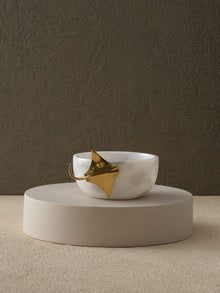 Bowl & Dish