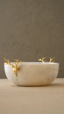 Bowl & Dish