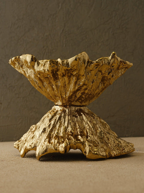 Bowl & Dish