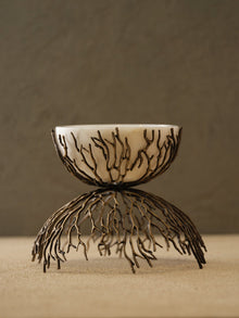 Bowl & Dish