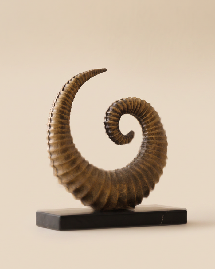 Large Brass Snail