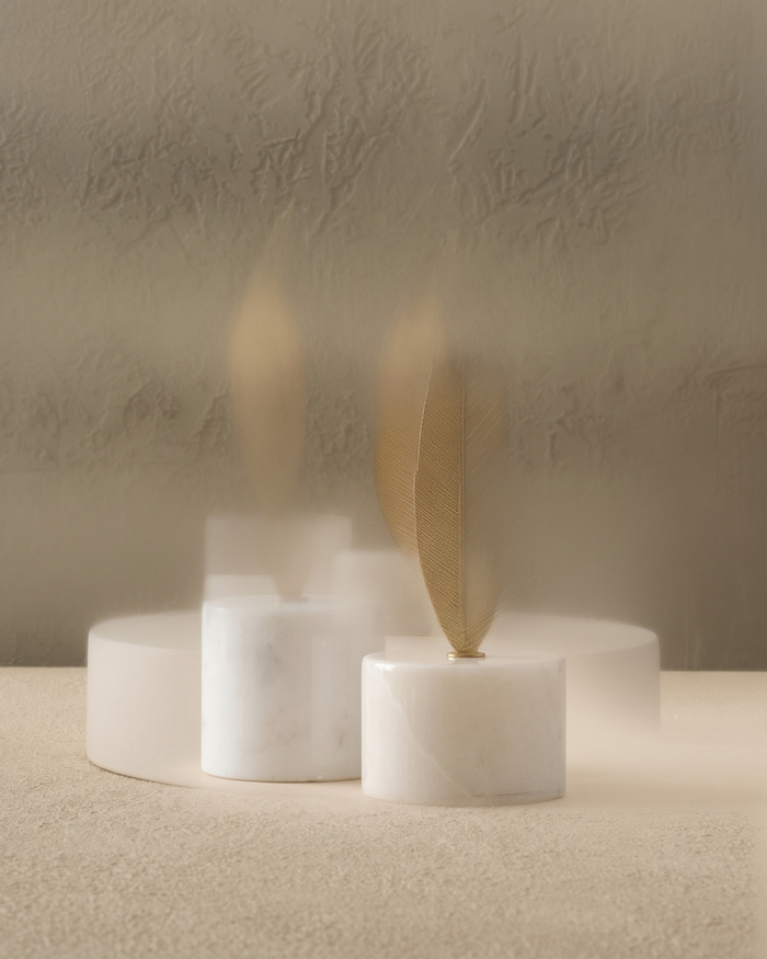 Mini Feather Decorative Object II